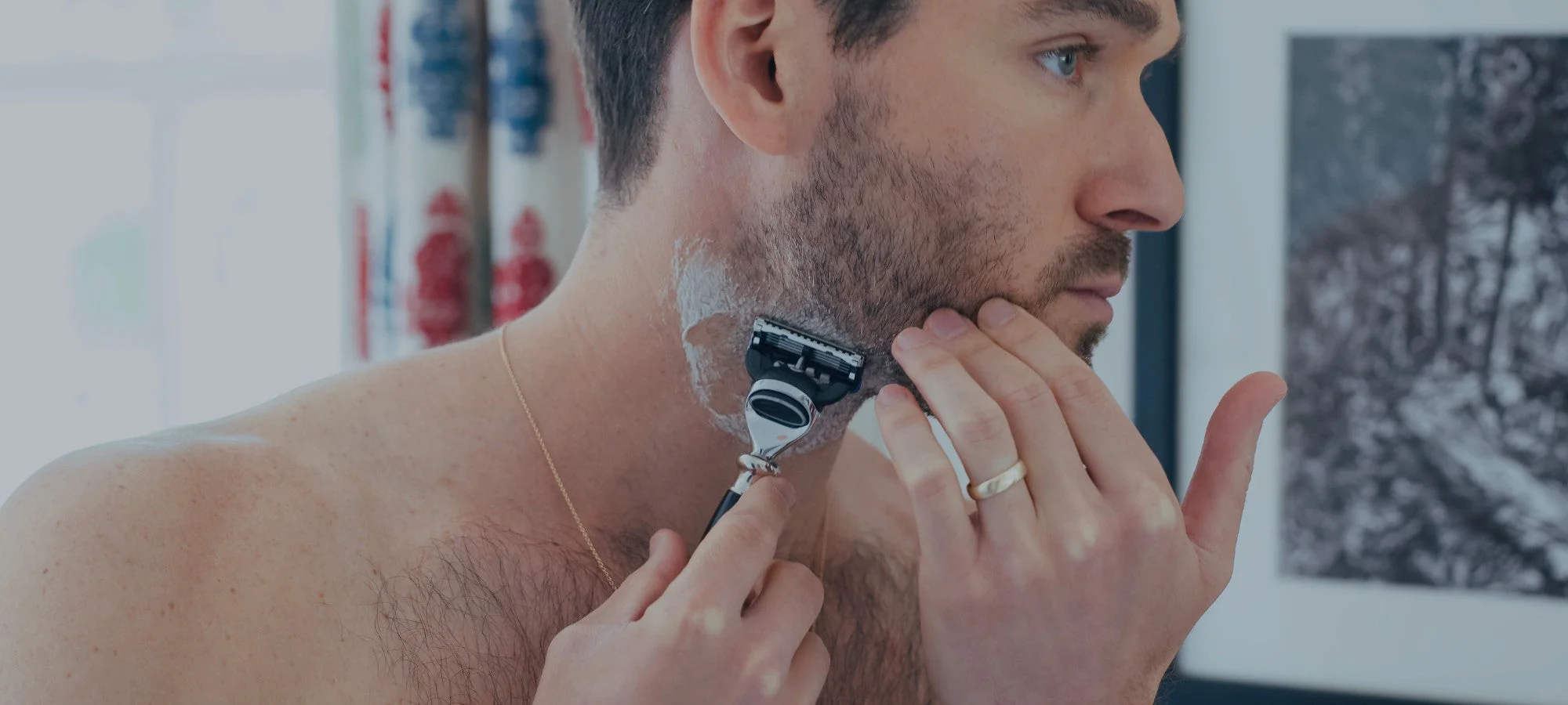 The Ultimate Grooming Experience